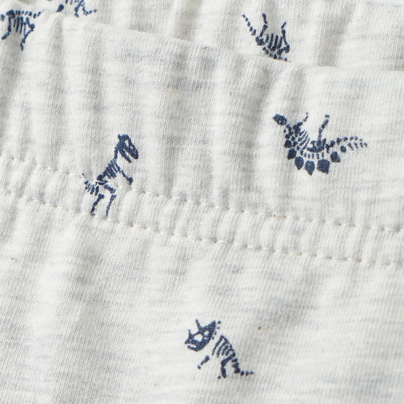 5 jongensboxers met biologisch katoen