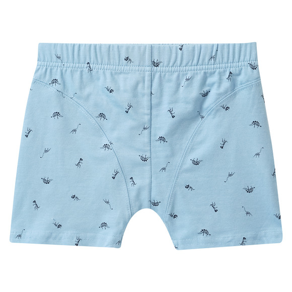 5 jongensboxers met biologisch katoen