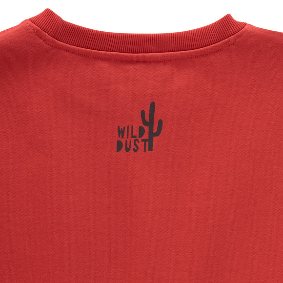 Jongens' sweatshirt met biologisch katoen