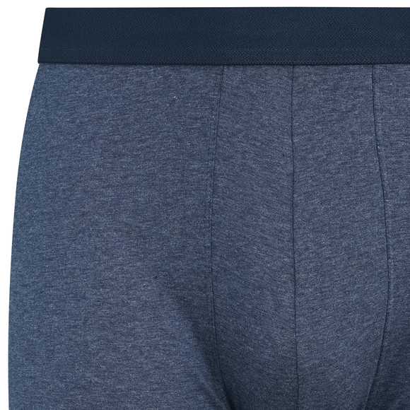 Heren retro shorts met biokatoen