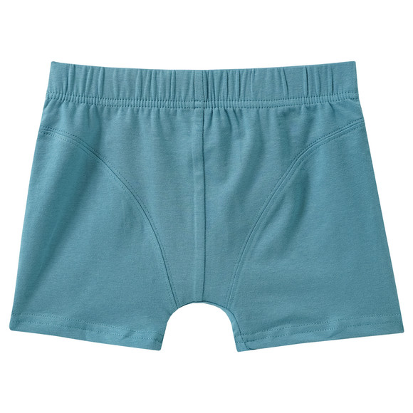 3 Jungen Boxer im Set