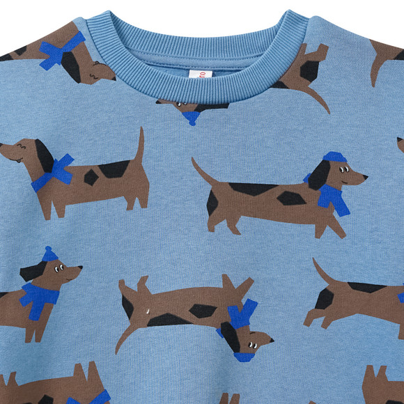 Sweater voor jongens met teckel all-over