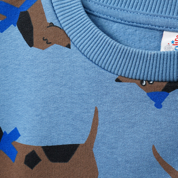 Sweater voor jongens met teckel all-over