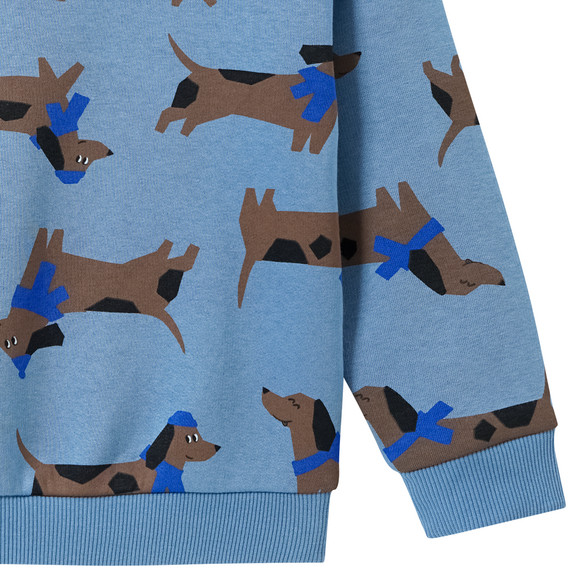 Sweater voor jongens met teckel all-over