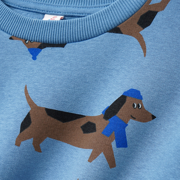 Sweater voor jongens met teckel all-over