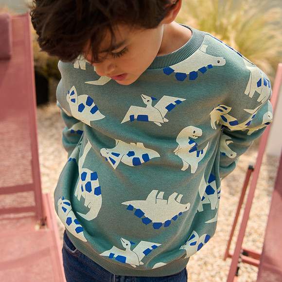 Sweater voor jongens met dinosaurus all-over