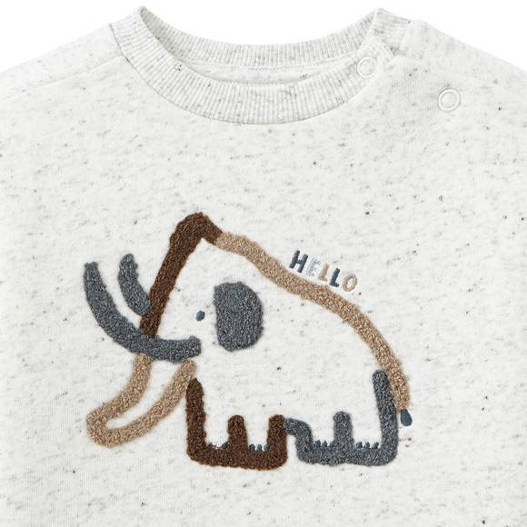 Baby-sweater met applicatie