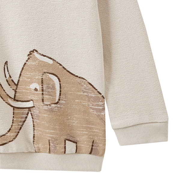 Baby sweatshirt met dierenmotieven
