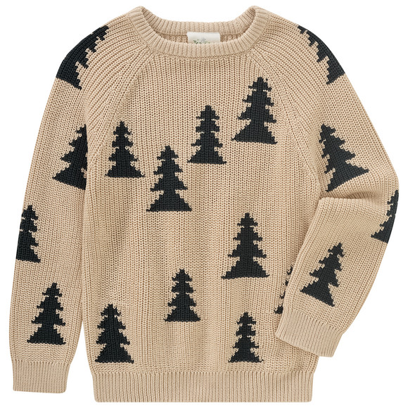 Gebreide trui Jongens