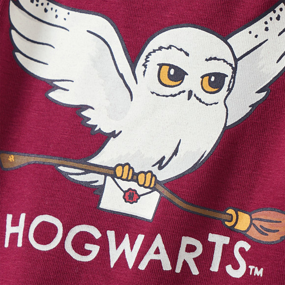 3 Harry Potter rompers in een set