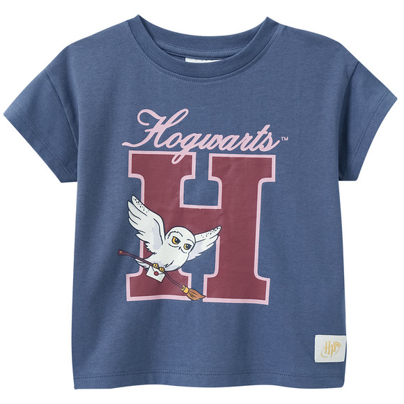 Harry Potter T-shirt met print blauw