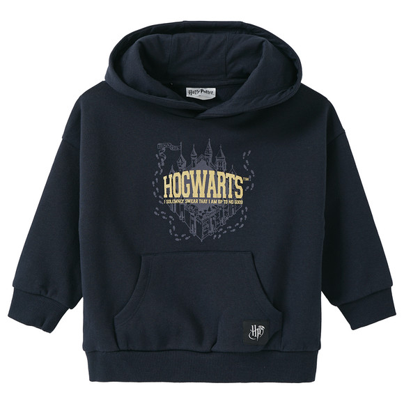 Harry Potter hoodie met grote opdruk