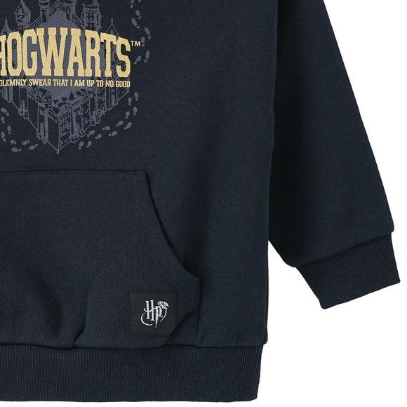 Harry Potter hoodie met grote opdruk