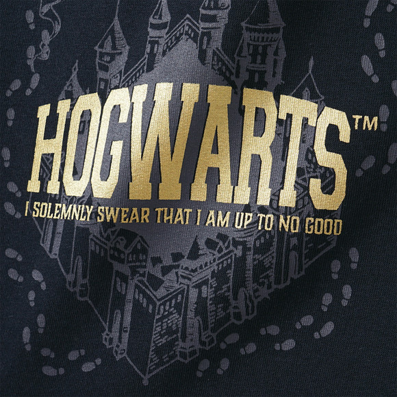 Harry Potter hoodie met grote opdruk
