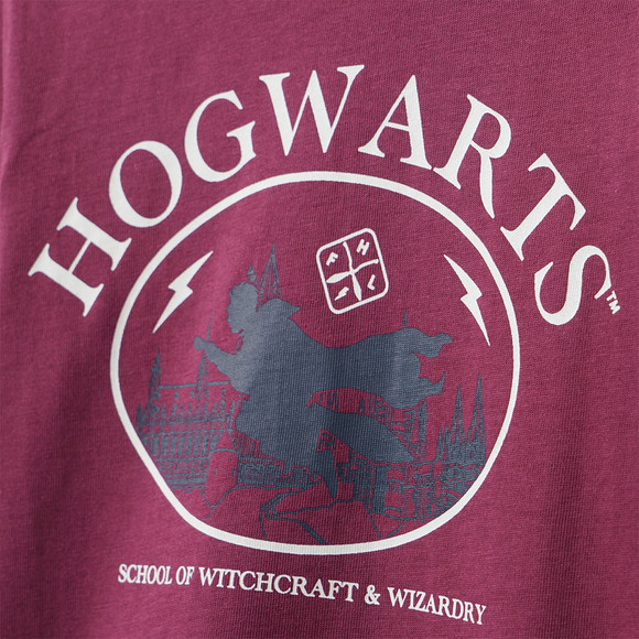 Harry Potter shirt met lange mouwen en print