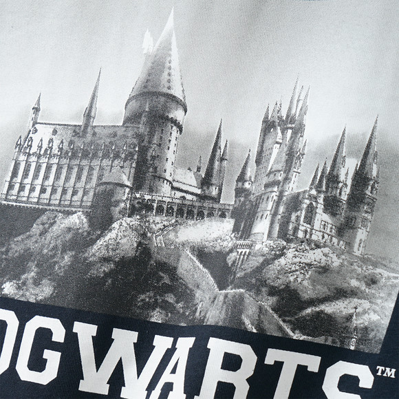 Harry Potter shirt met lange mouwen en print