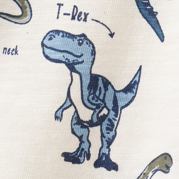 Jungen Langarmshirt mit Dino-Allover