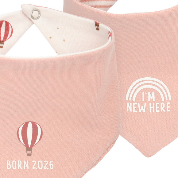 2 Baby Bandanas Born 2026