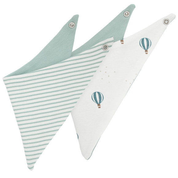 2 Baby Bandanas Born 2026