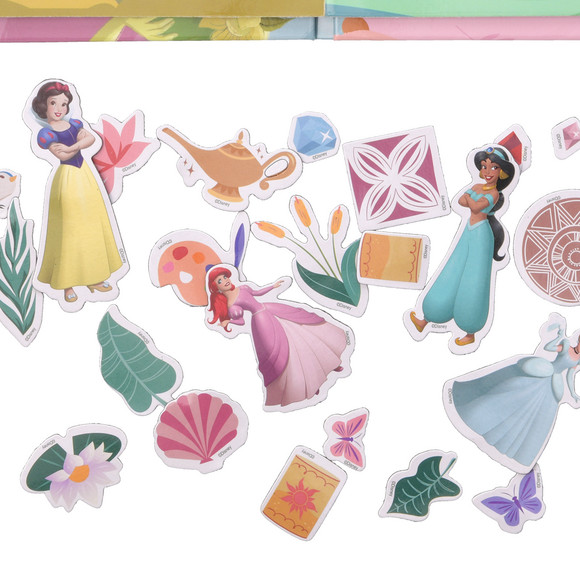 Disney Princess Magneet Activiteitenset