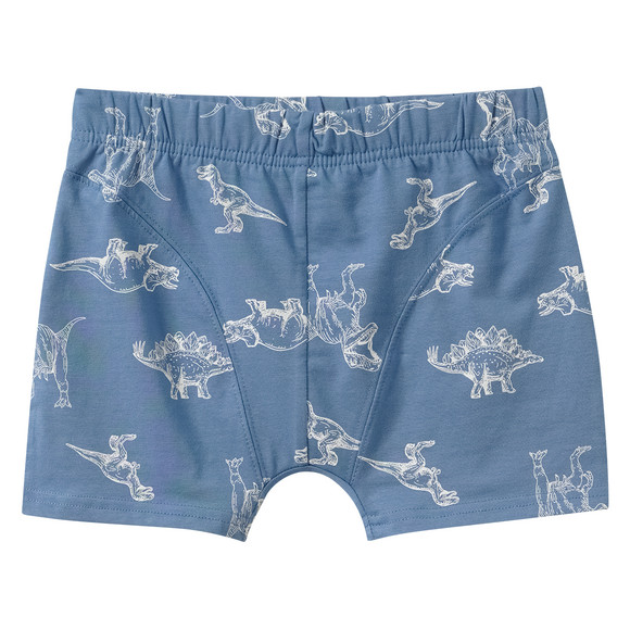3 Jungen Boxer in verschiedenen Dessins