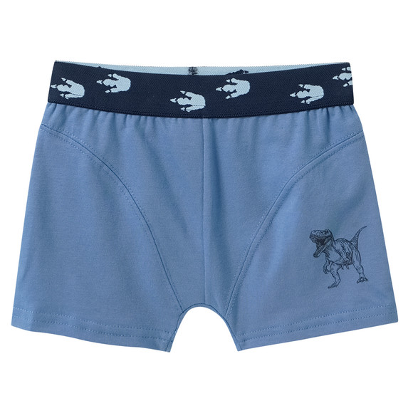 3 Jungen Boxer in verschiedenen Dessins