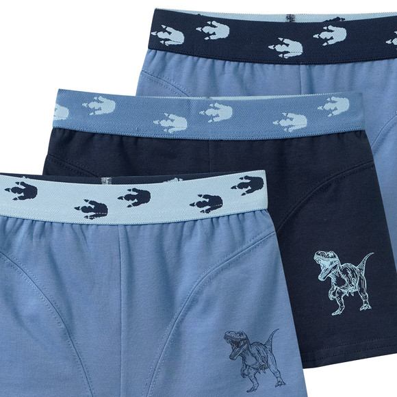 3 Jungen Boxer in verschiedenen Dessins