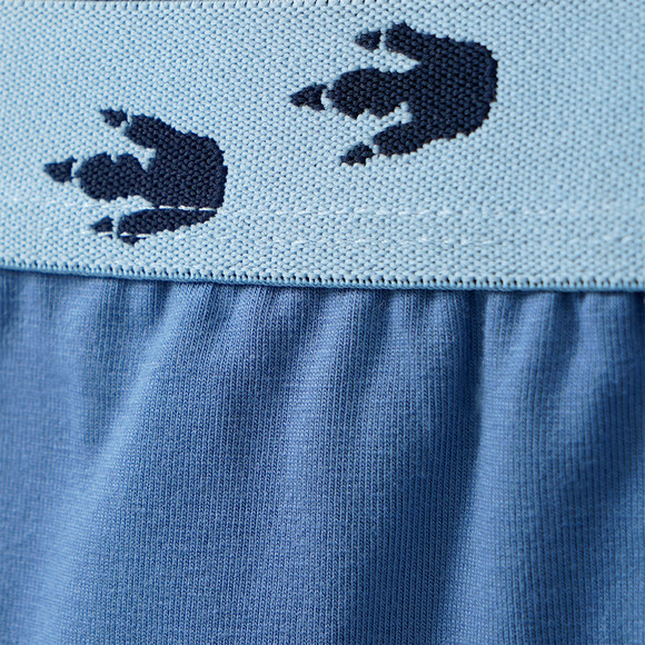 3 Jungen Boxer in verschiedenen Dessins