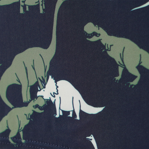 Jungen Badehose mit Dinos allover