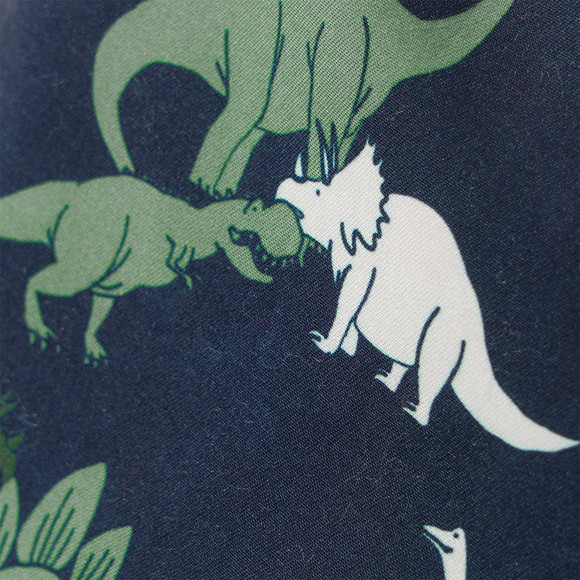 Jungen Badeshorts mit Dino-Allover