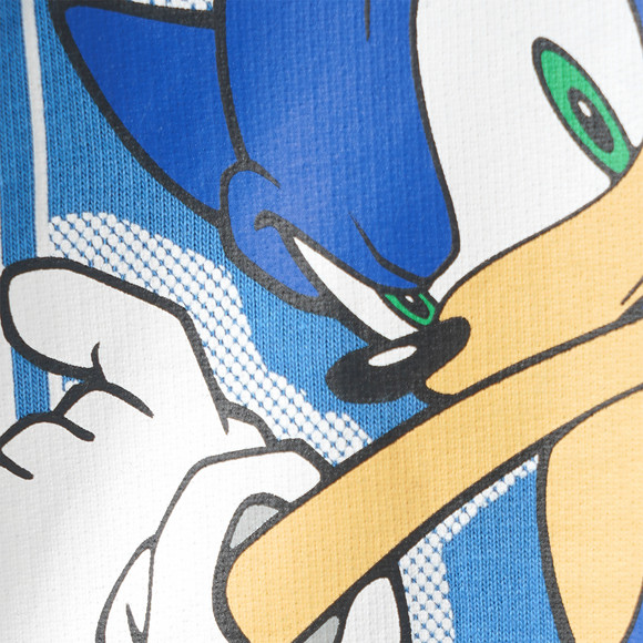  Sonic Hoodie mit Rücken-Print