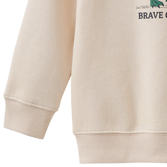 Jungen Sweatshirt mit Dino-Print