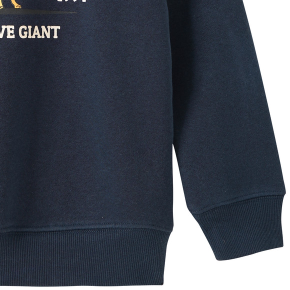 Jungen Sweatshirt mit Dino-Print