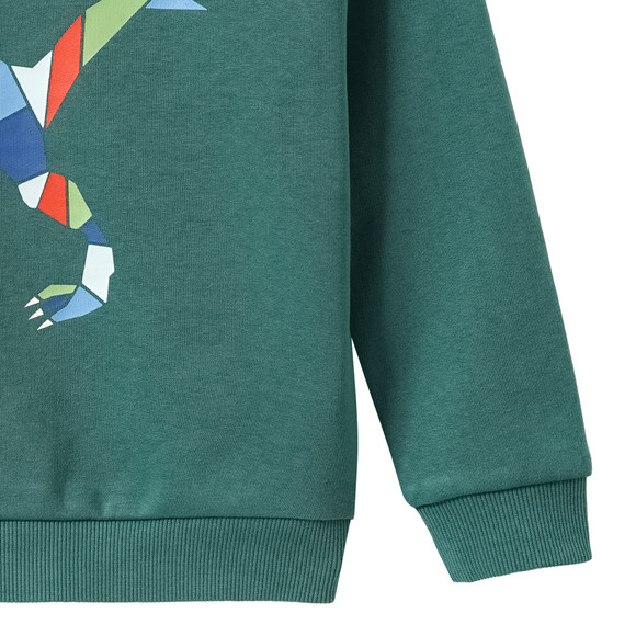 Jungen Sweatshirt mit Print