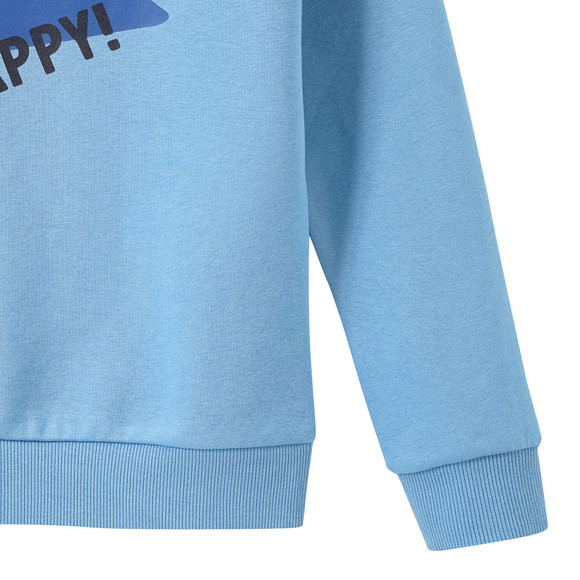Jungen Sweatshirt mit Print