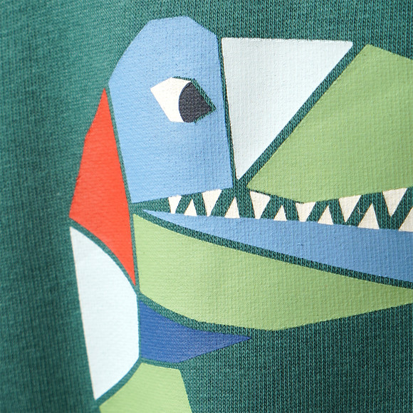 Jungen Sweatshirt mit Print