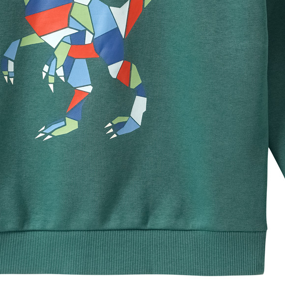 Jungen Sweatshirt mit Print