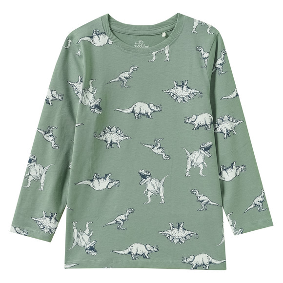 Jungen Schlafanzug mit Dino-Print