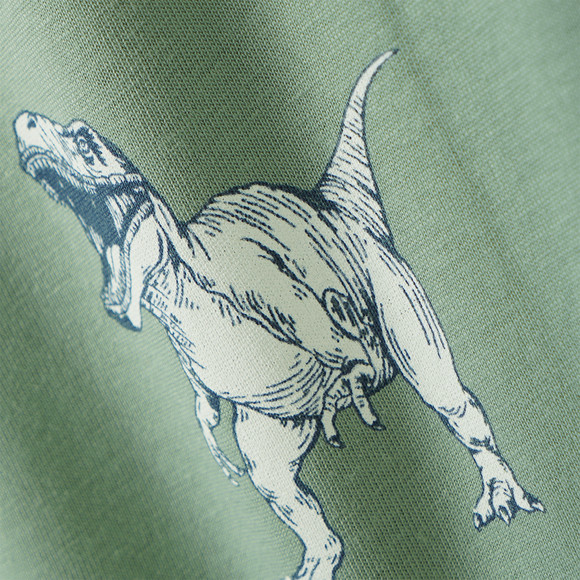 Jungen Schlafanzug mit Dino-Print