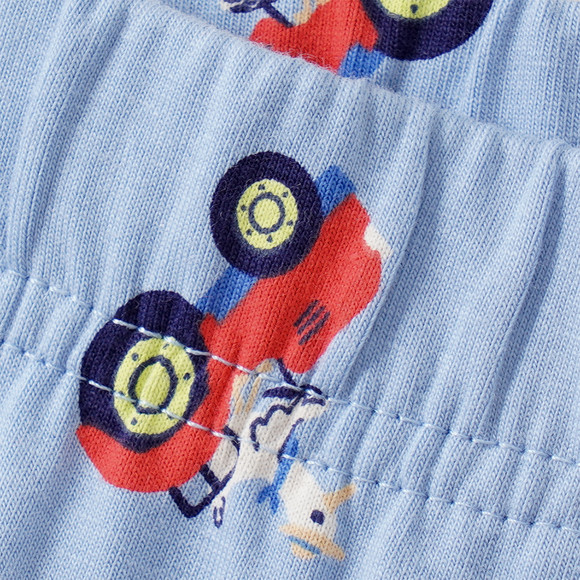 5 Jungen Boxer mit Bauernhof-Motiven