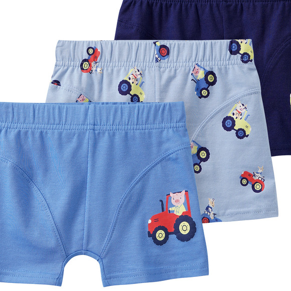 5 Jungen Boxer mit Bauernhof-Motiven