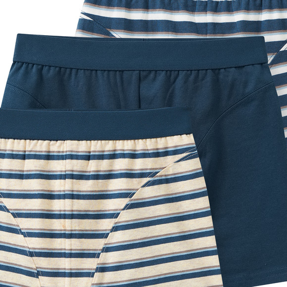 3 Jungen Boxer im Set