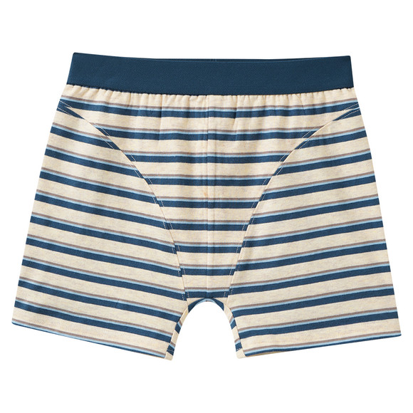 3 Jungen Boxer im Set