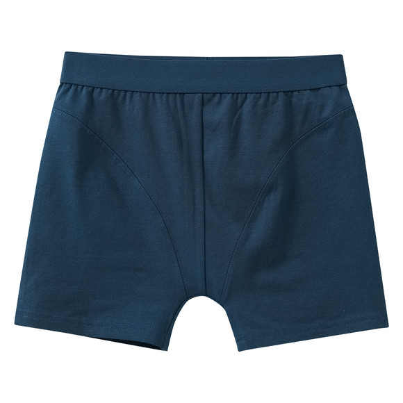 3 Jungen Boxer im Set