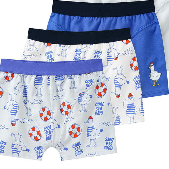 5 Jungen Boxer im Set