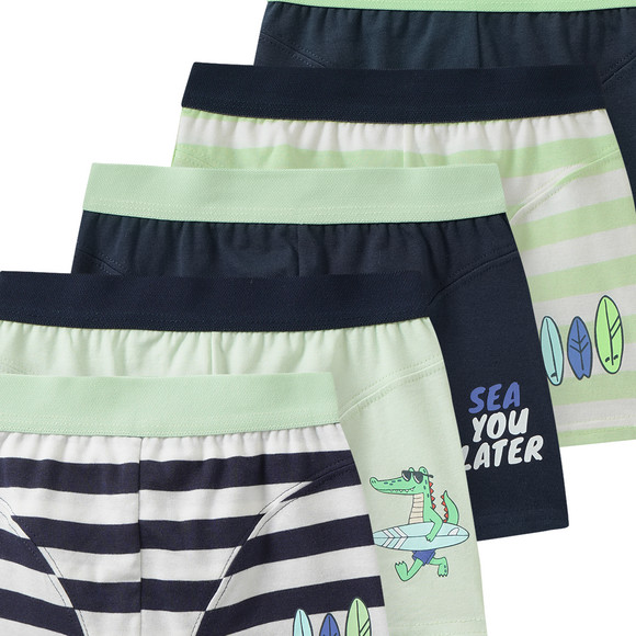 5 Jungen Boxer im Set