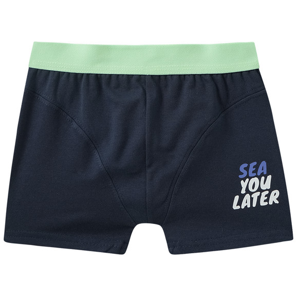 5 Jungen Boxer im Set