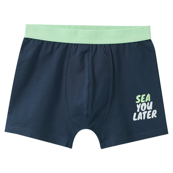 5 Jungen Boxer im Set