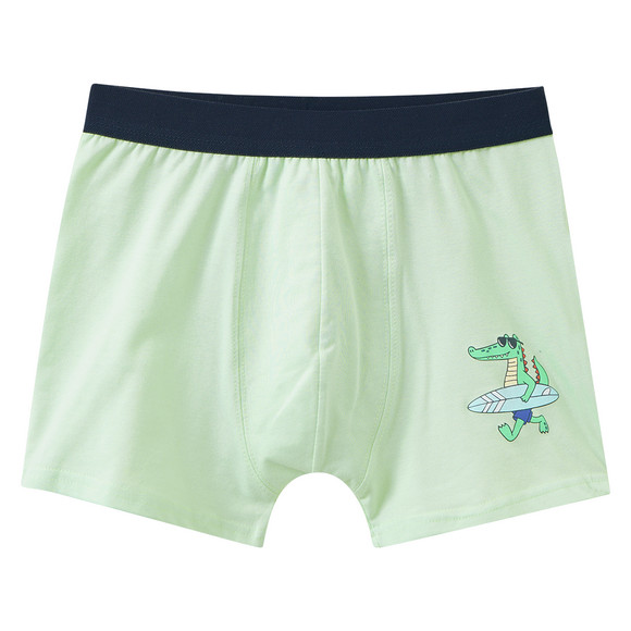 5 Jungen Boxer im Set