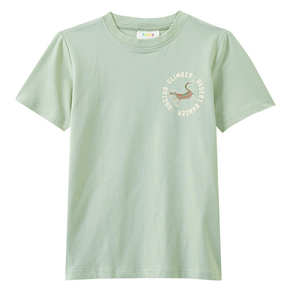 3 jongens T-shirts in verschillende dessins